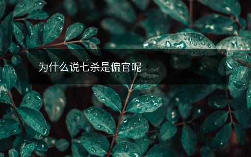 为什么说七杀是偏官呢 为什么说七杀是偏官呢