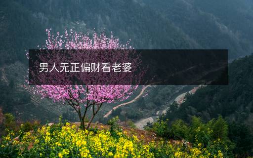 男人无正偏财看老婆