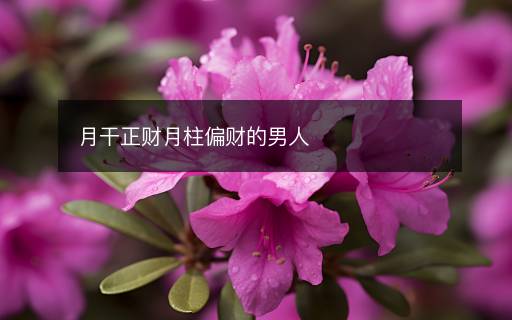 月干正财月柱偏财的男人 月干正财月柱偏财的男人