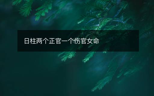 日柱两个正官一个伤官女命
