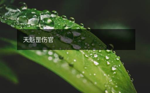 天魁罡伤官