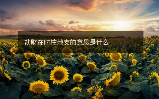 劫财在时柱地支的意思是什么 劫财在时柱地支的意思是什么