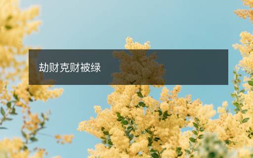 劫财克财被绿 劫财克财被绿