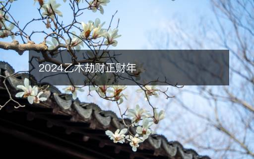 2024乙木劫财正财年