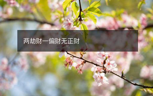 两劫财一偏财无正财