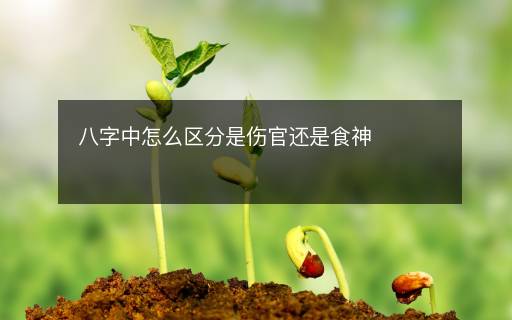 八字中怎么区分是伤官还是食神