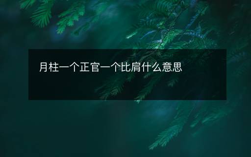月柱一个正官一个比肩什么意思