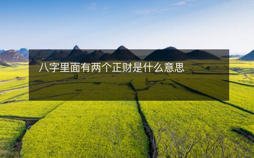 八字里面有两个正财是什么意思