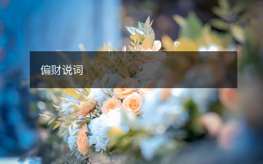 偏财说词