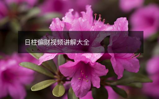 日柱偏财视频讲解大全