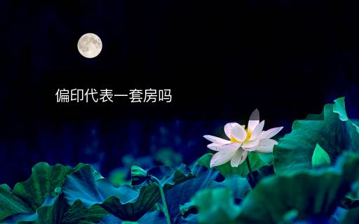 偏印代表一套房吗