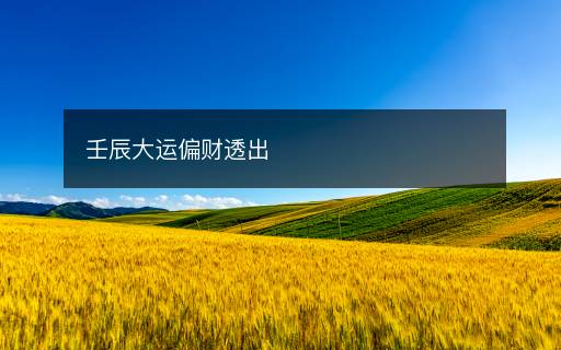 壬辰大运偏财透出