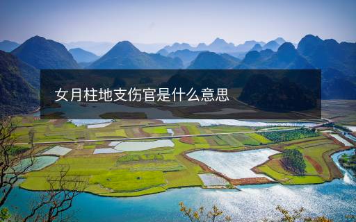 女月柱地支伤官是什么意思