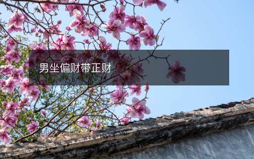 男坐偏财带正财