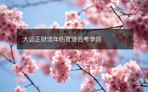 大运正财流年伤官适合考学吗 大运正财流年伤官适合考学吗