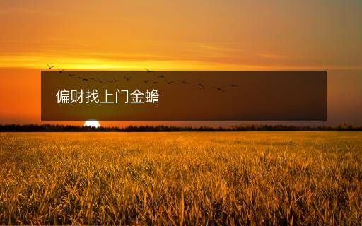 偏财找上门金蟾