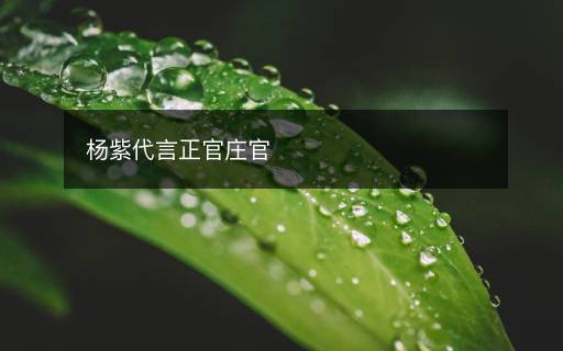 杨紫代言正官庄官 杨紫代言正官庄官