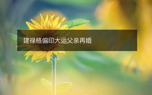 建禄格偏印大运父亲再婚