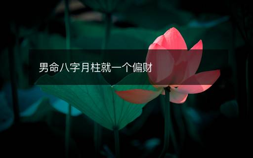 男命八字月柱就一个偏财