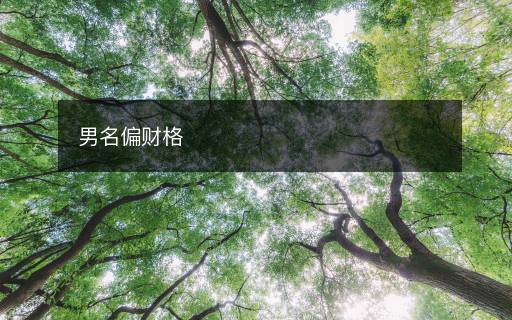 男名偏财格