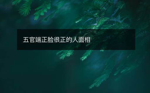 五官端正脸很正的人面相