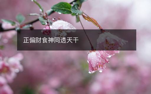 正偏财食神同透天干