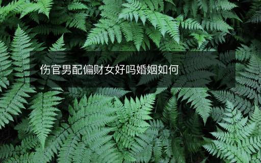 伤官男配偏财女好吗婚姻如何