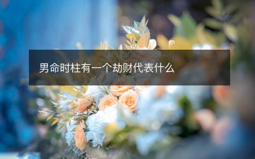 男命时柱有一个劫财代表什么