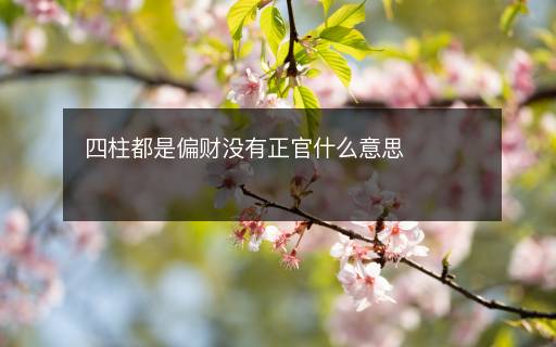 四柱都是偏财没有正官什么意思