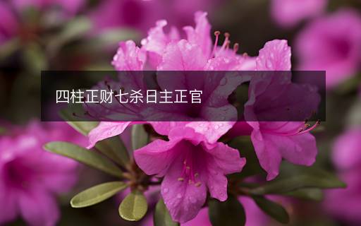 四柱正财七杀日主正官