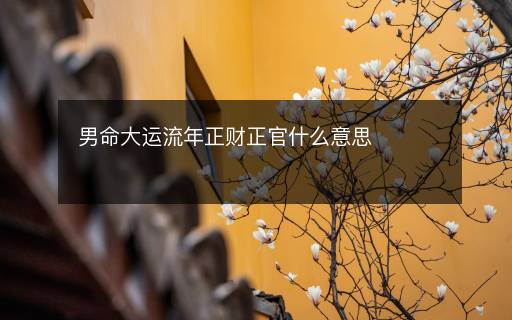 男命大运流年正财正官什么意思 男命大运流年正财正官什么意思