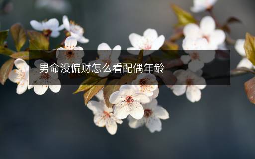 男命没偏财怎么看配偶年龄