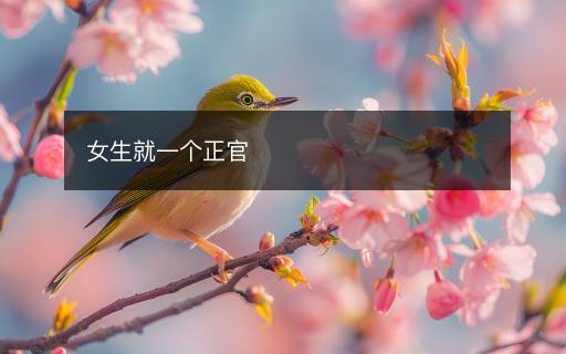 女生就一个正官