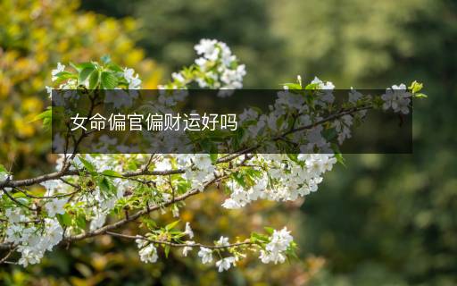 女命偏官偏财运好吗