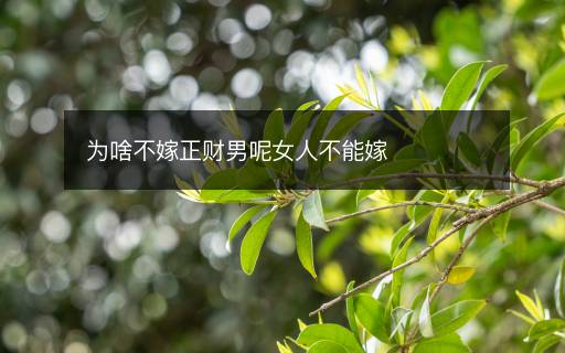 为啥不嫁正财男呢女人不能嫁