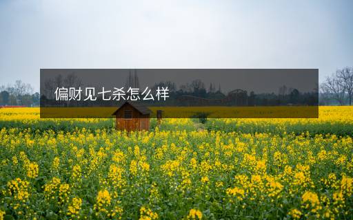 偏财见七杀怎么样