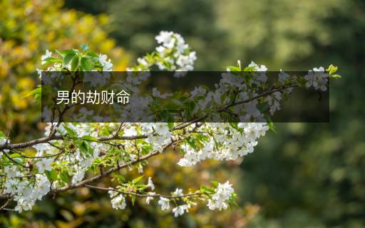 男的劫财命