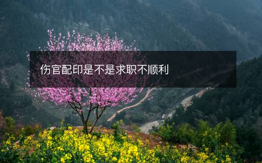 伤官配印是不是求职不顺利
