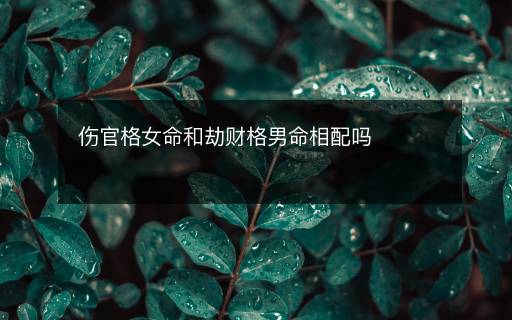伤官格女命和劫财格男命相配吗
