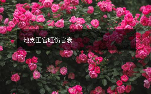 地支正官旺伤官衰