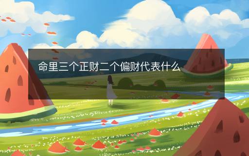 命里三个正财二个偏财代表什么