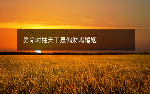 男命时柱天干是偏财吗婚姻