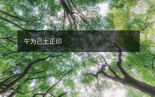 午为己土正印