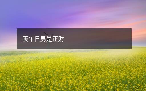 庚午日男是正财