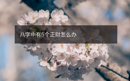 八字中有5个正财怎么办