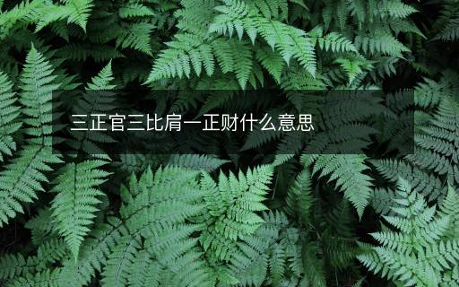 三正官三比肩一正财什么意思