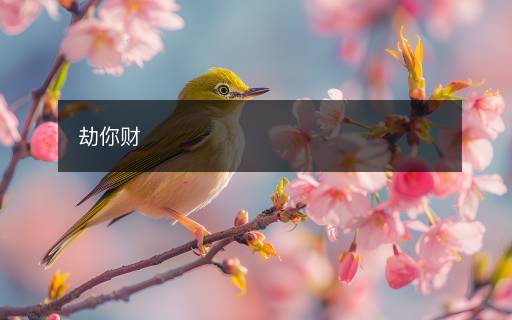 劫你财