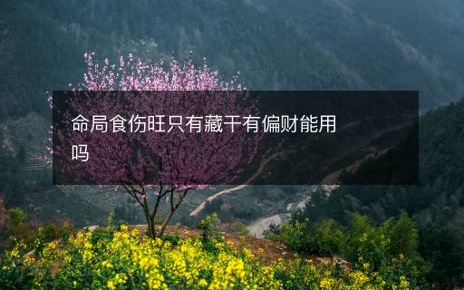 命局食伤旺只有藏干有偏财能用吗