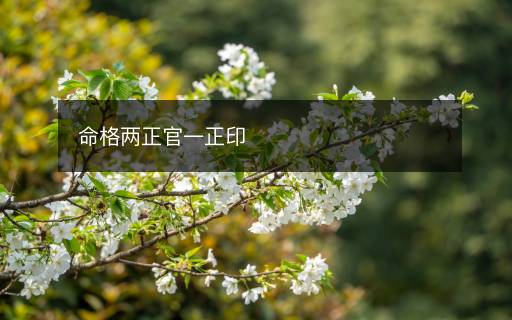 命格两正官一正印