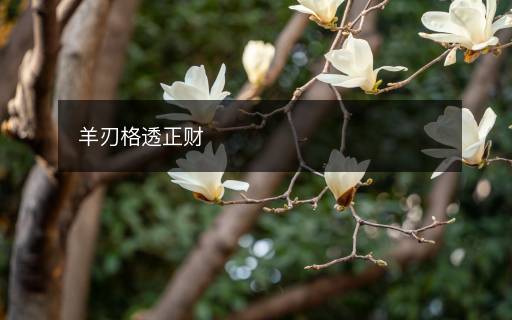 羊刃格透正财